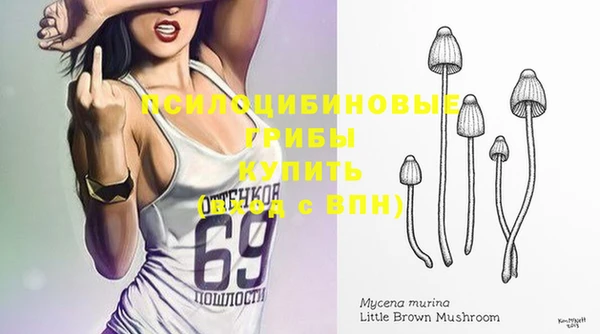 дурь Абинск