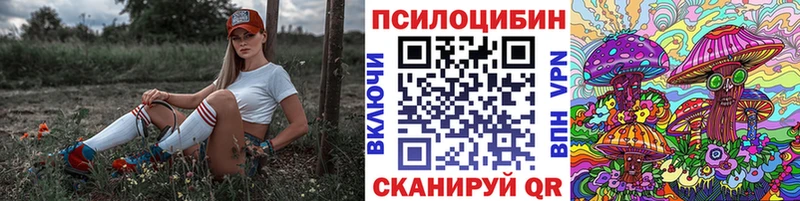 как найти закладки  Болохово  Псилоцибиновые грибы MAGIC MUSHROOMS 